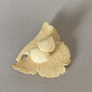 Ginkgo-Blatt und Nüsse